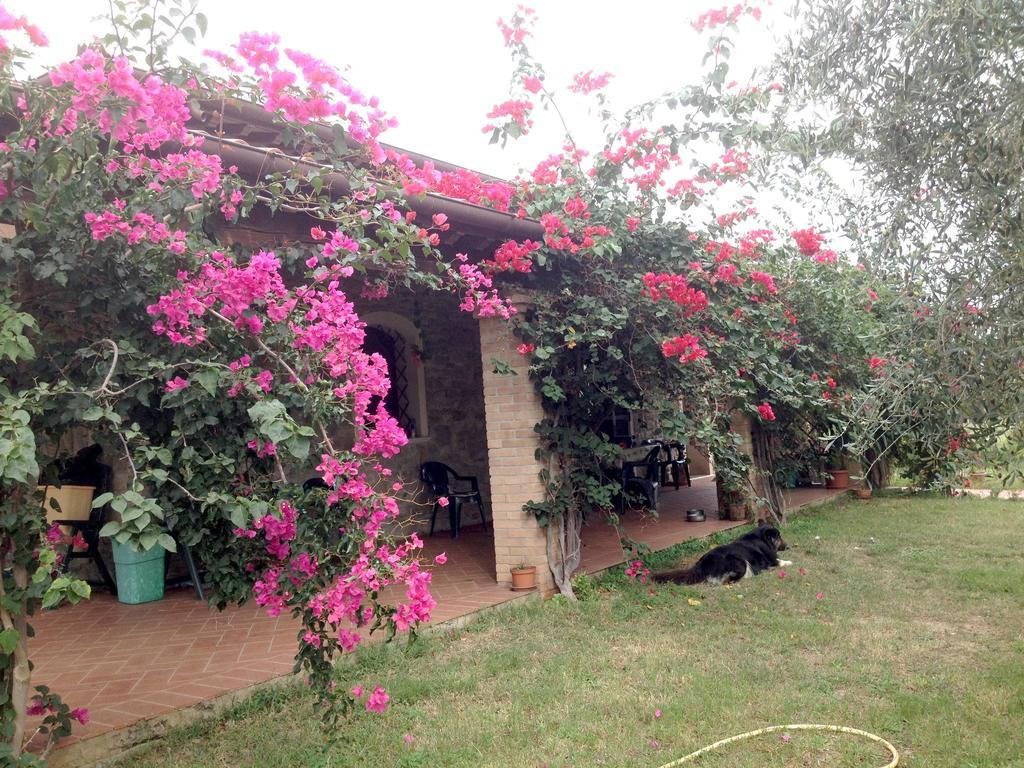 Casa Santina Girasole Quarto foto