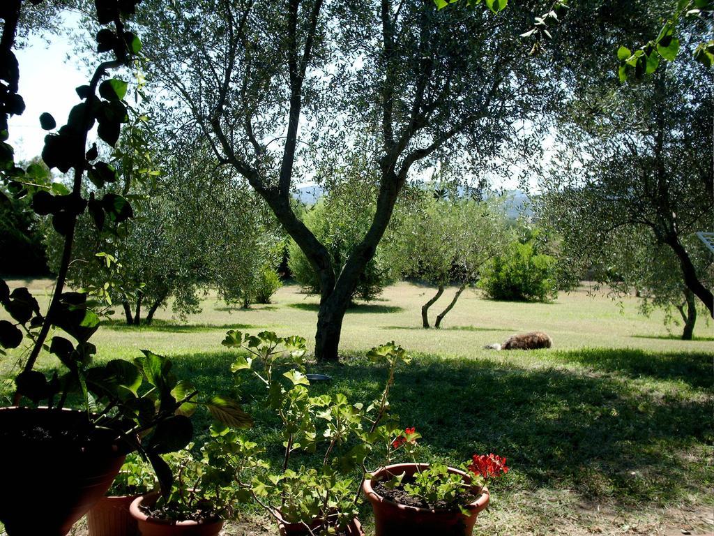 Casa Santina Girasole Quarto foto